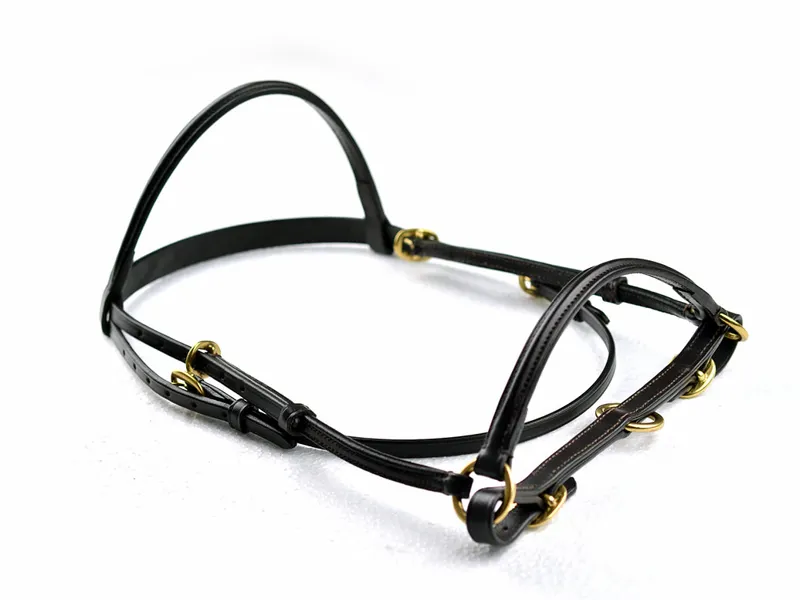 Ascot by Dever Leather Filly Slip in Havana-2